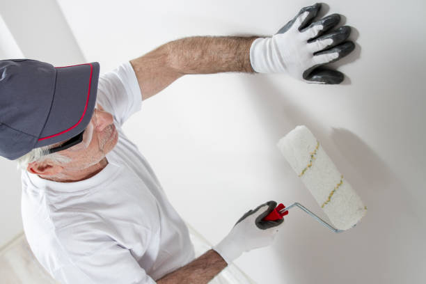 Best Forensic Mold Investigation  in Baltimore Highlands, MD