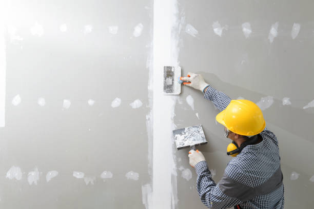 Best Mold Remediation for Healthcare Facilities  in Baltimore Highlands, MD