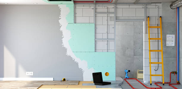 Best Attic Mold Removal  in Baltimore Highlands, MD