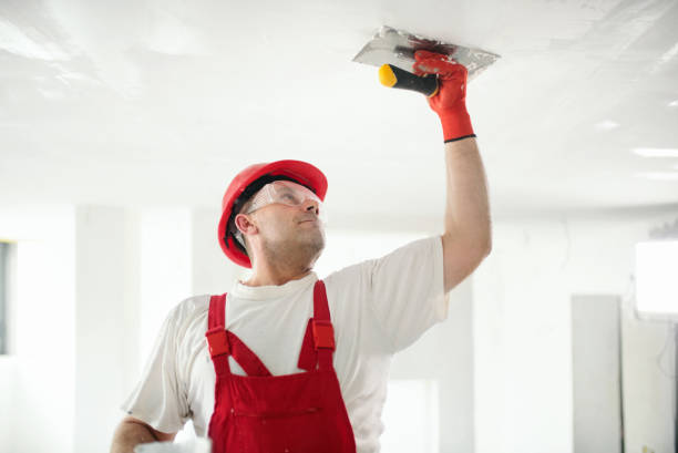 Best Emergency Mold Remediation  in Baltimore Highlands, MD