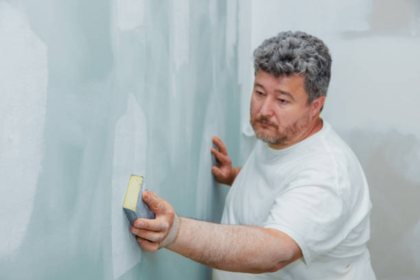 Best Mold-Related Health Consultation  in Baltimore Highlands, MD