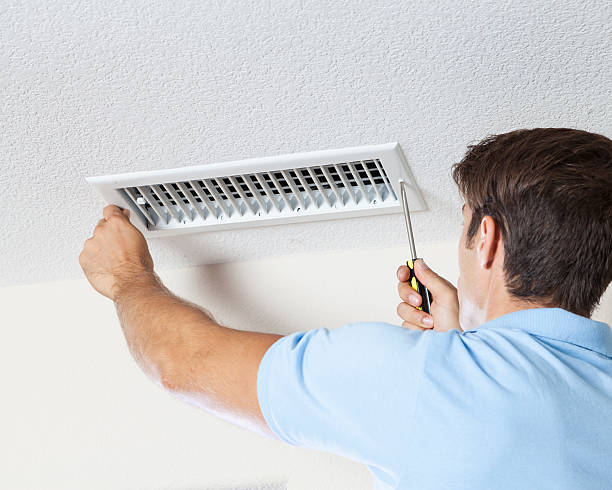 Best Airborne Mold Testing  in Baltimore Highlands, MD