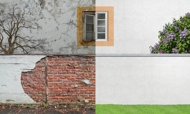 Best Post-Construction Mold Inspection  in Baltimore Highlands, MD