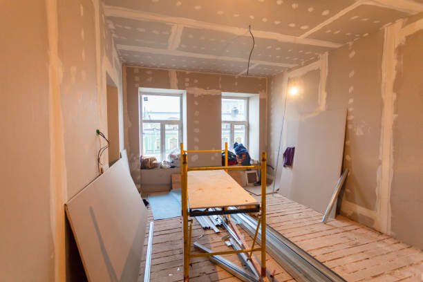 Best Industrial Mold Remediation  in Baltimore Highlands, MD
