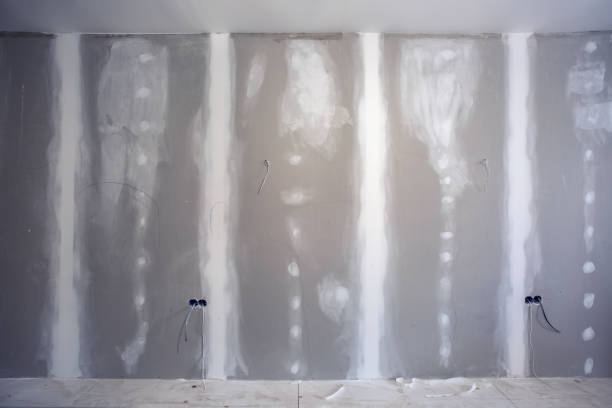 Best Asbestos and Lead Testing During Mold Inspection  in Baltimore Highlands, MD